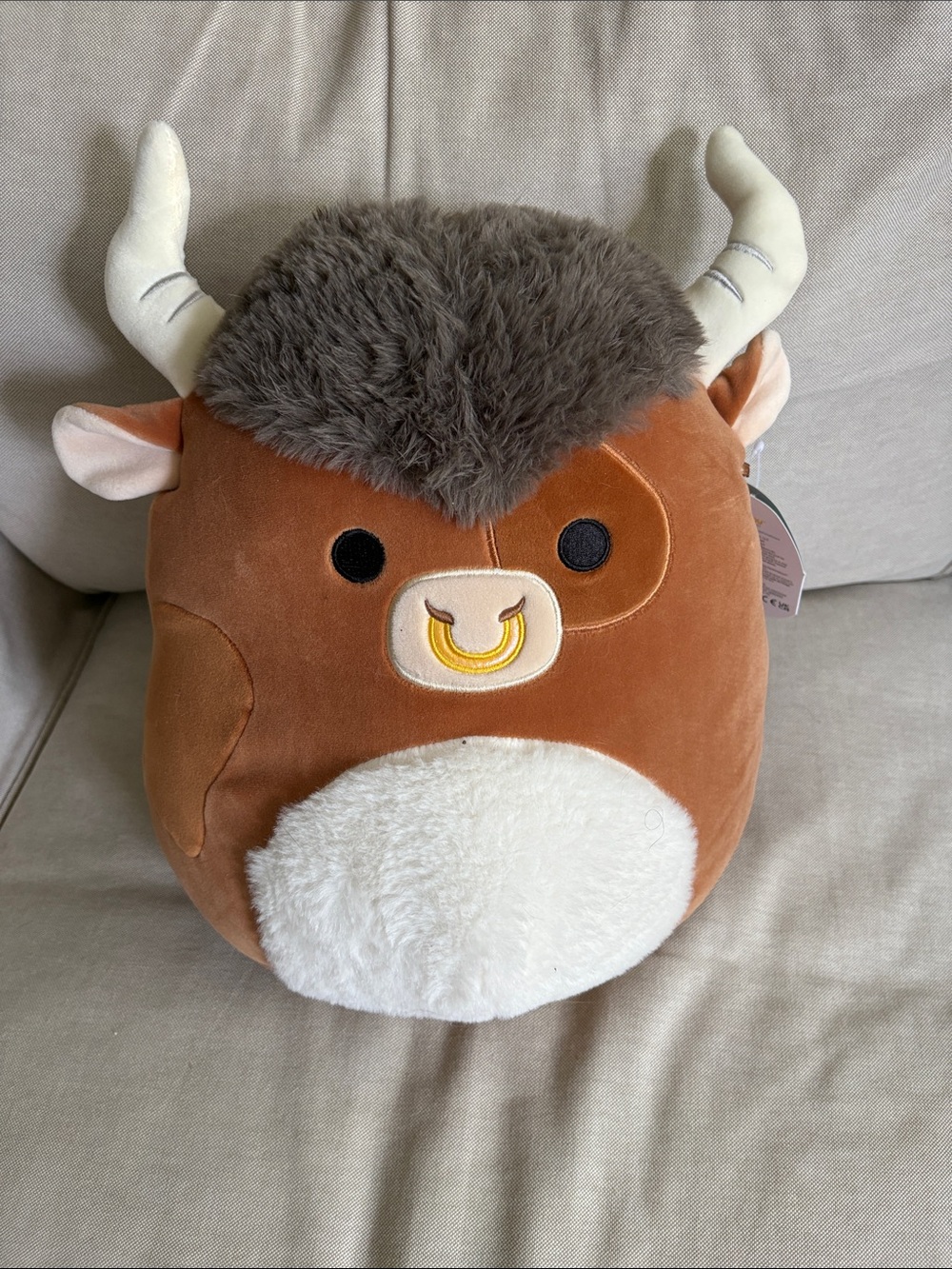 Shep the Bull Squishmallow